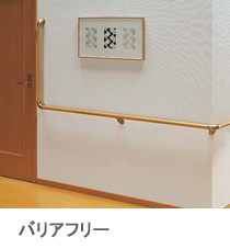 �o���A�t���[