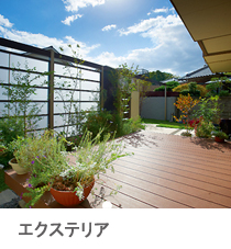 �G�N�X�e���A